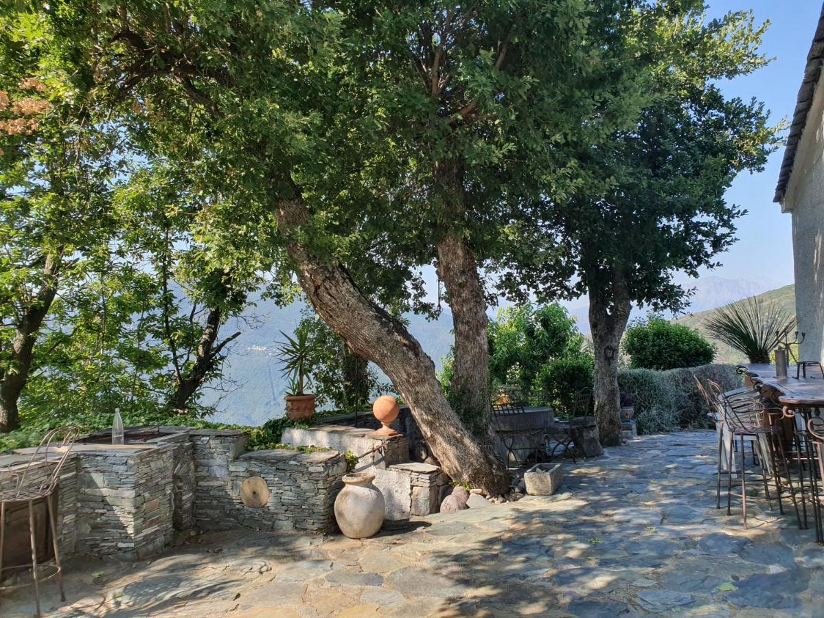Maison De Charme Avec Piscine Et Vue Exceptionnelle * Scolca