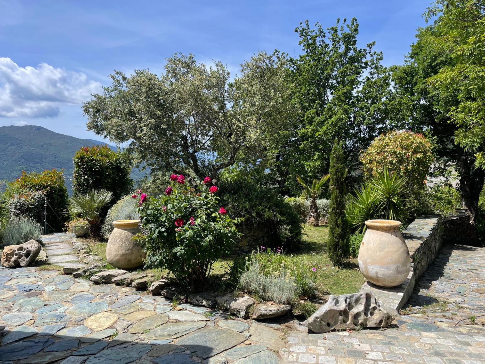 Maison De Charme Avec Piscine Et Vue Exceptionnelle Scolca